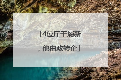 4位厅干履新，他由政转企