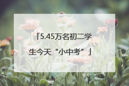 5.45万名初二学生今天“小中考”