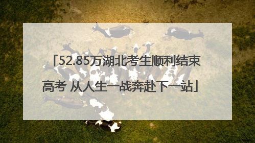 52.85万湖北考生顺利结束高考 从人生一战奔赴下一站