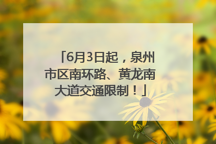 6月3日起，泉州市区南环路、黄龙南大道交通限制！