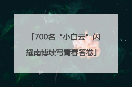 700名“小白云”闪耀南博续写青春答卷