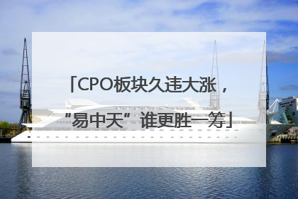 CPO板块久违大涨，“易中天”谁更胜一筹