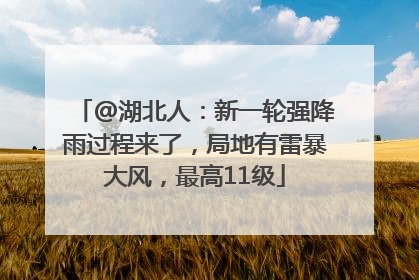@湖北人：新一轮强降雨过程来了，局地有雷暴大风，最高11级