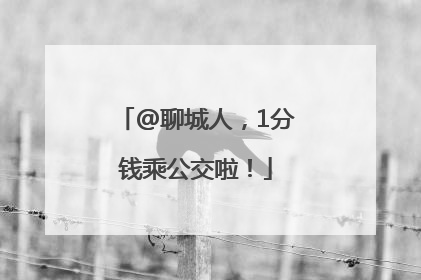 @聊城人，1分钱乘公交啦！