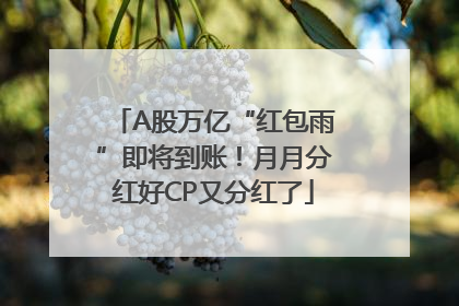 A股万亿“红包雨”即将到账！月月分红好CP又分红了