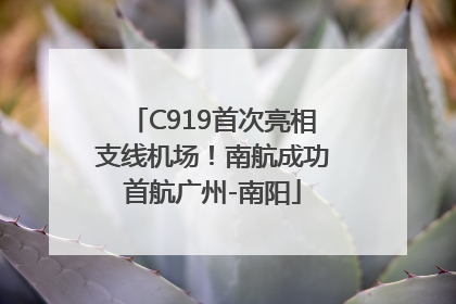 C919首次亮相支线机场！南航成功首航广州-南阳