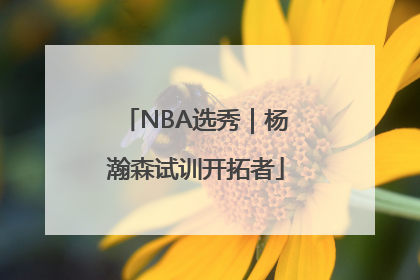 NBA选秀｜杨瀚森试训开拓者